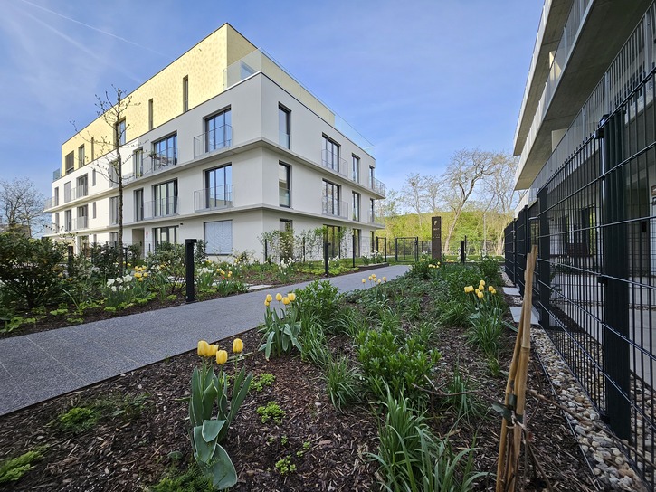 20241015 100202 | Vivus