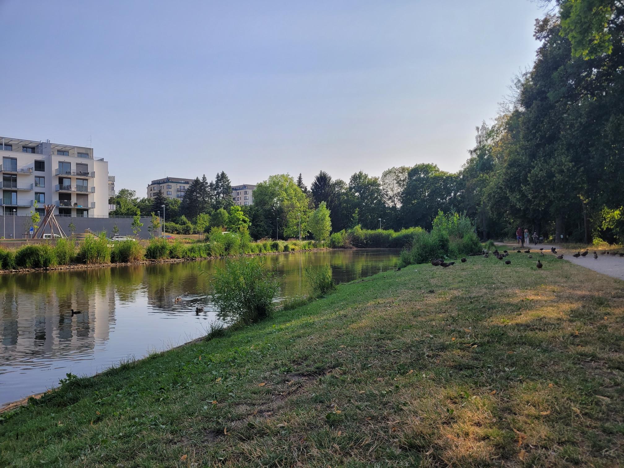 20230711 181434 | Vivus