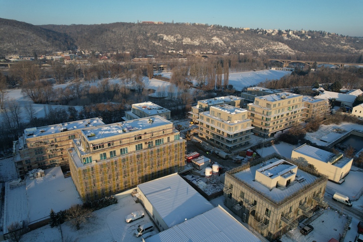 Schedule, photo 3 | Vivus