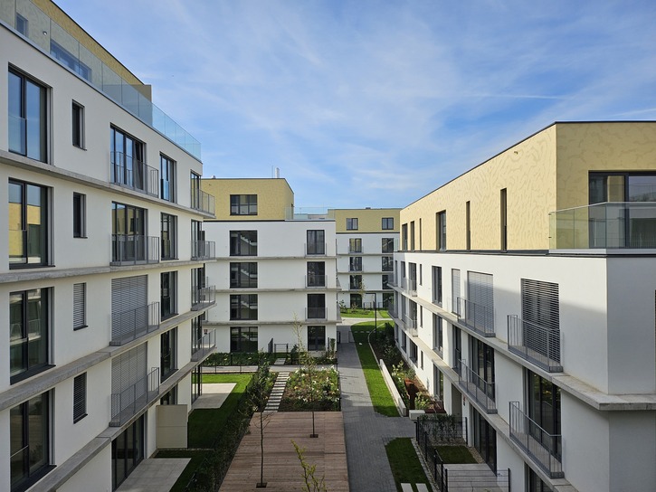 About the project, photo 2 | Vivus