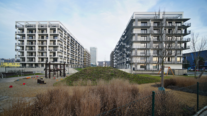 Kolbenova I | Vivus