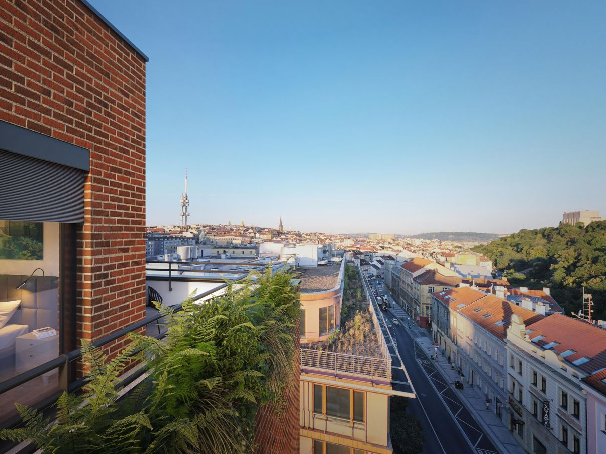 zizkov dlazba | Vivus